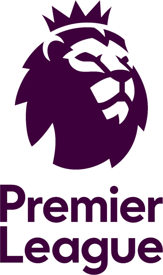 英超 埃弗顿vs水晶宫20240928